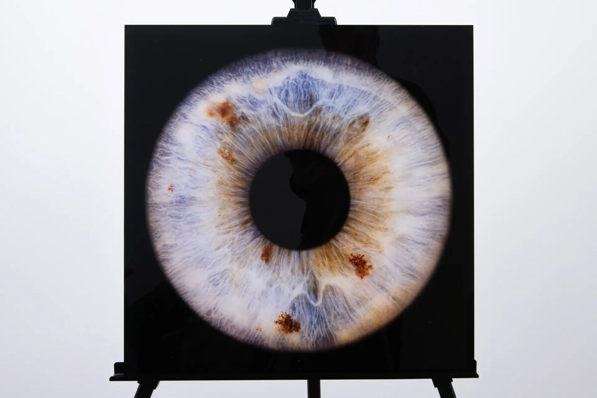 Akrila Glezna | ViiEye