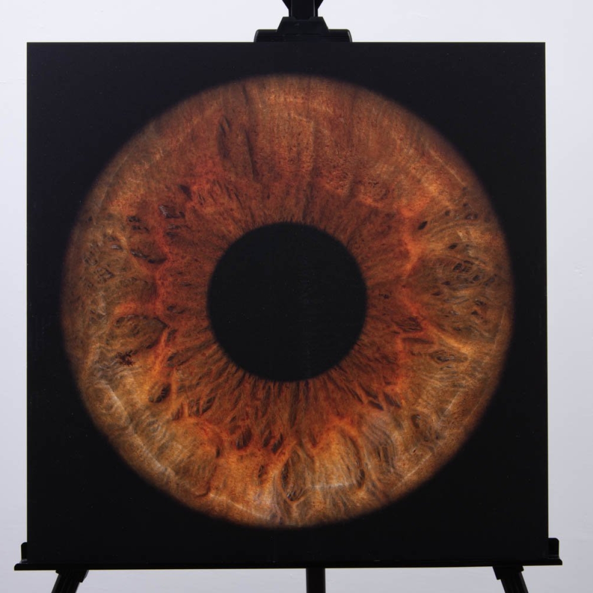 Metāla Glezna | ViiEye