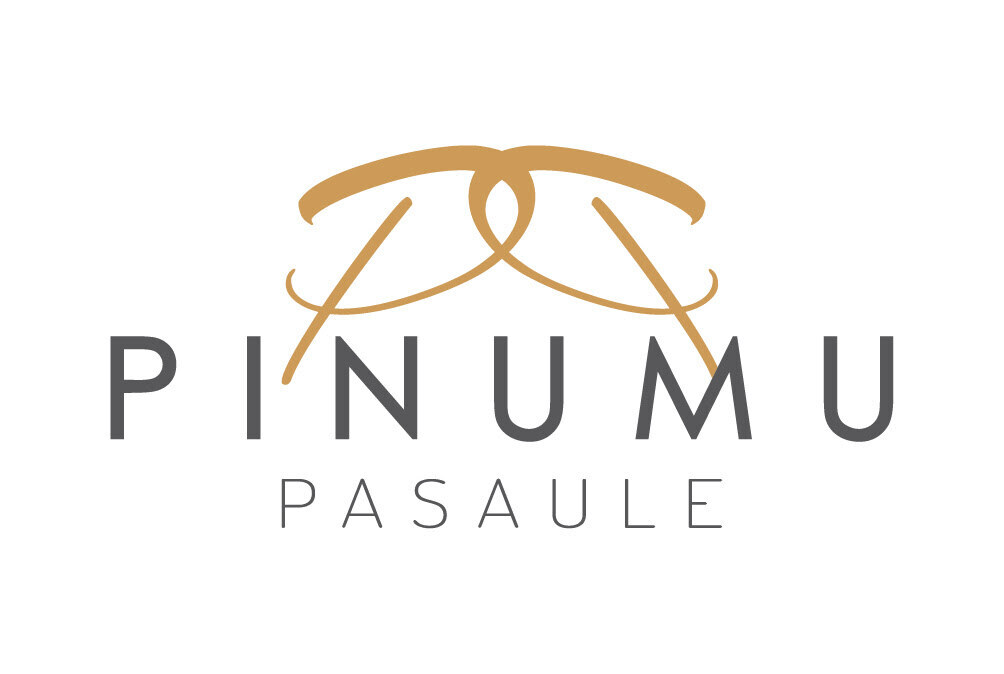 Pīti velo grozi | Pinumu Pasaule SIA