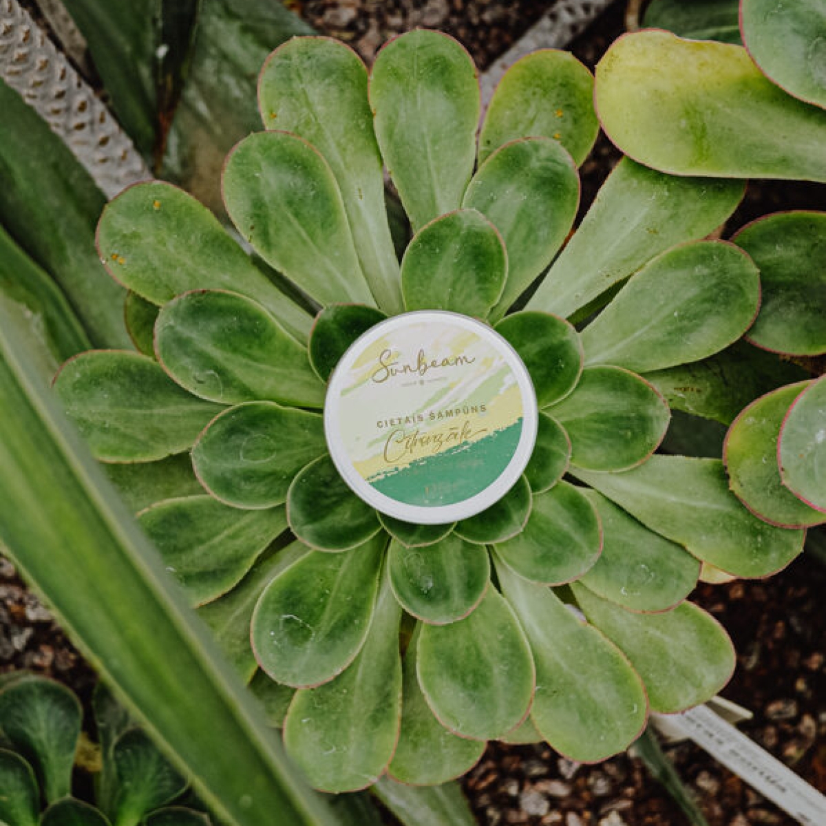 Cietaisšampūns_Sunbeamcosmetics
