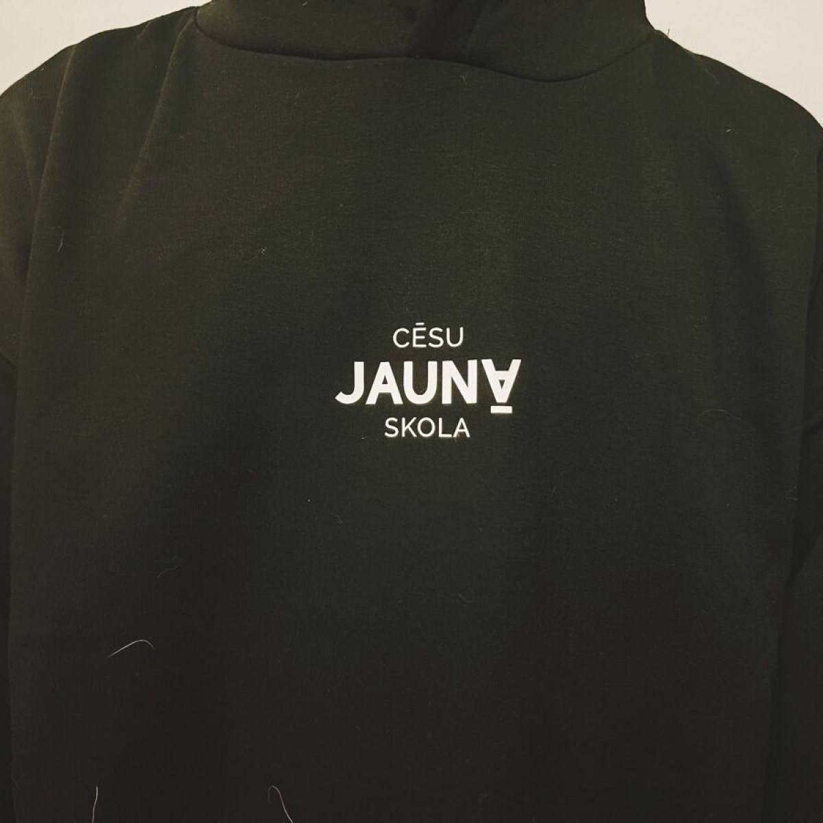 Cēsu Jaunā skola