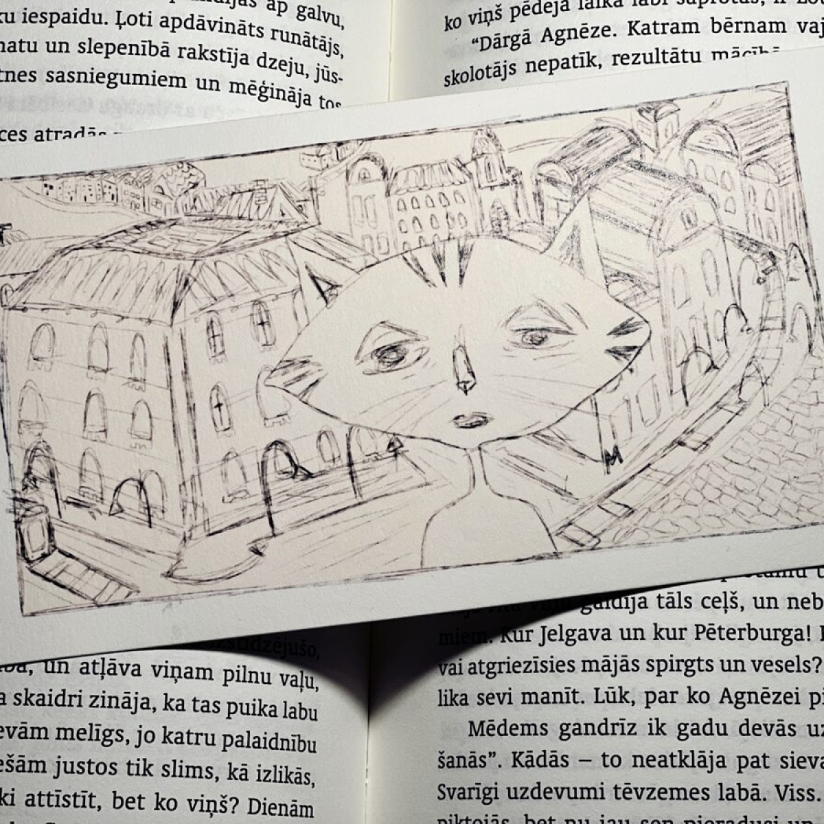 Cēsu Jaunā skola